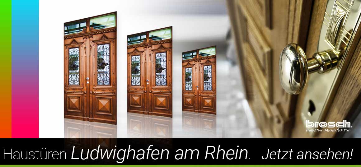 Historische Haustür aus Holz Ludwigshafen am Rhein