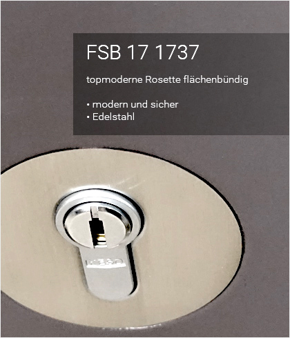 Besipielbild Haustür Origo50