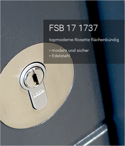 Besipielbild Haustür Origo FX 139