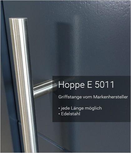 Besipielbild Haustür Origo FX 55
